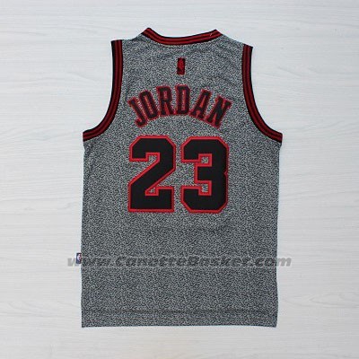 Maglia Moda Statico Chicago Bulls Michael Jordan #23 Grigio
